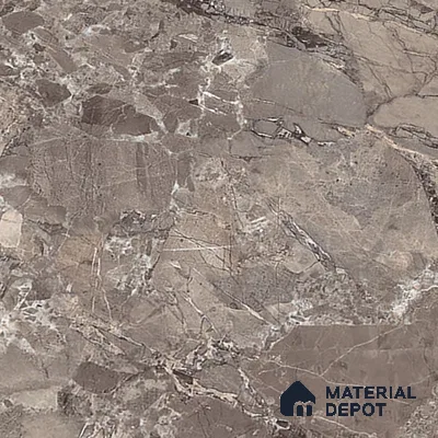 TL 00831 Fontana Choco 1200x600 mm Random Face Endless Glossy Finish Vitrified Wall & Floor Tile - 9 mm (Sample)