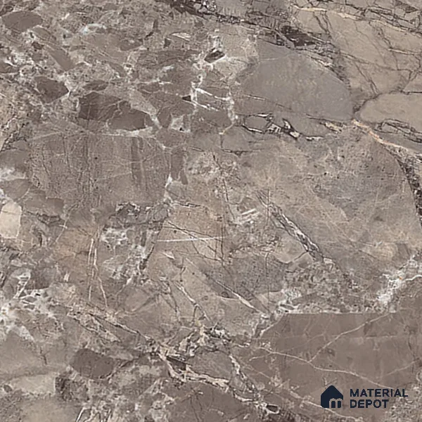 TL 00831 Fontana Choco 1200x600 mm Random Face Endless Glossy Finish Vitrified Wall & Floor Tile - 9 mm (Sample)