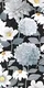 Stampa Floreale Black