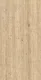 Camel Beige