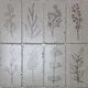 Handmade Third Fired Tumbled Tile TL 13003 B Ivory Sketch 297x147 mm Satin Finish Vitrified French Series Tile - 9 mm | 12 Random Design | Custom Design & Individual Designs Available Image 01