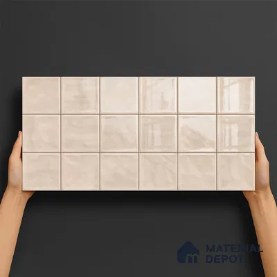 Highlighter Wall Tile TL 06553 F Dove Brown 2 ft x 1 ft Ceramic Glossy Finish - 8 mm | Suitable for Living Room, Kitchen & Bathroom (Sample)