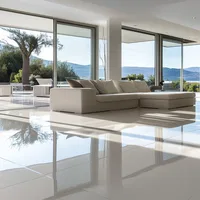 Plain Vitrified Tiles