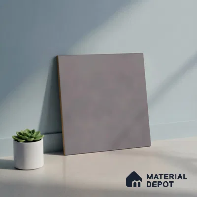 Plain Matching Floor Tile TL 05484 E Lustra Foggy Ash 1 ft x 1 ft Ceramic Antiskid Matte Finish - 9 mm | Suitable for Bathroom, Kitchen (Sample)