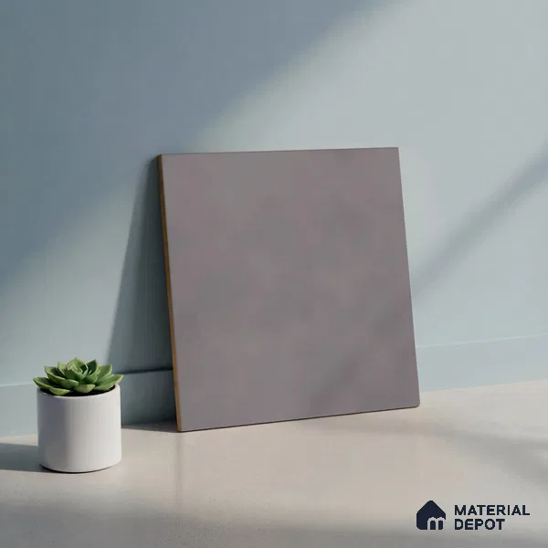 Plain Matching Floor Tile TL 05484 E Lustra Foggy Ash 1 ft x 1 ft Ceramic Antiskid Matte Finish - 9 mm | Suitable for Bathroom, Kitchen (Sample)