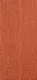 Pumpkin Orange