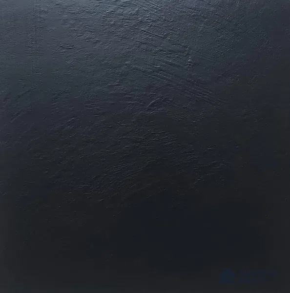 TL 04469 B Black 600 x 600 mm Punch Matte Finish Vitrified Tile - 9 mm