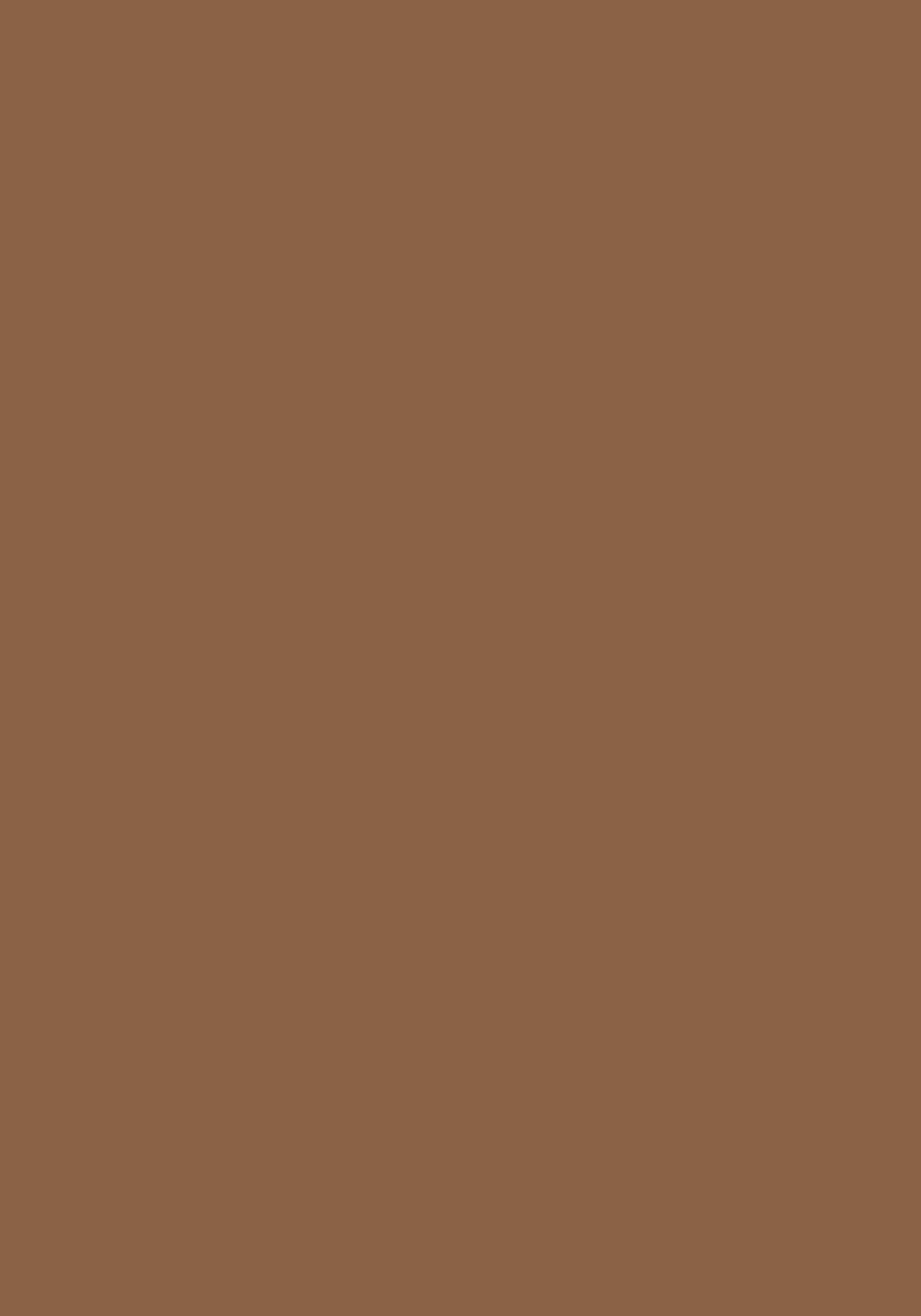 Brown Solid Colors Look PU 244 8 ft x 4 ft Super Matte Finish Decorative Laminate - 1 mm | Suitable for Living Room, Kitchen, Office