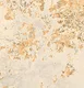 Rustic Beige