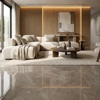 Punch Vitrified Tiles
