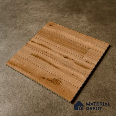 TL 00446 Raw Umber 2 ft x 2 ft Matte Finish Digital Porcelain Floor & Wall Tile - 9.5 mm