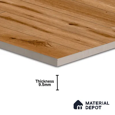 TL 00446 Raw Umber 2 ft x 2 ft Matte Finish Digital Porcelain Floor & Wall Tile - 9.5 mm