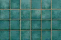 TL 01621 C Dark Green 18 x 12 inch Glossy Finish Ceramic Wall Tile - 6 mm | Image 01