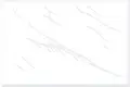 TL 01620 E Light Blanc White 12 x 12 inch Matte Finish Anti Skid Ceramic Floor Tile - 6 mm | Image 01