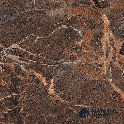 TL 01016 Spider Brown 1200x600 mm High Gloss Finish Vitrified Wall & Floor Tile - 9 mm