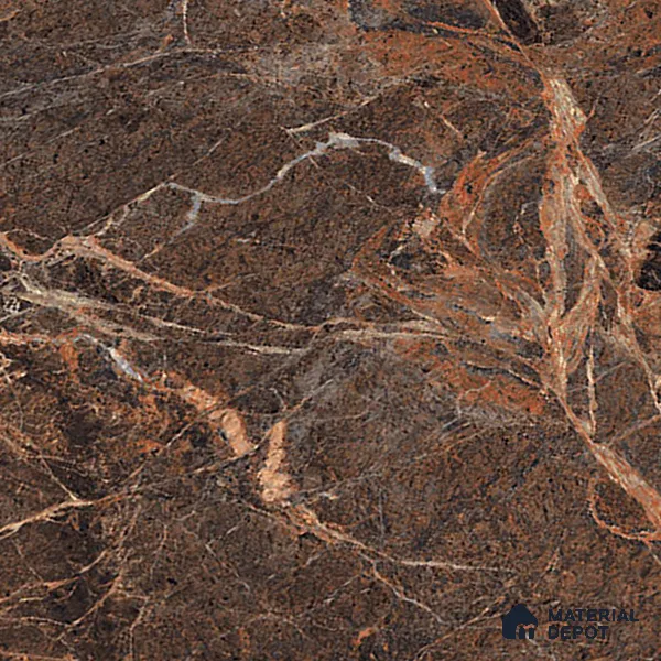 TL 01016 Spider Brown 1200x600 mm High Gloss Finish Vitrified Wall & Floor Tile - 9 mm