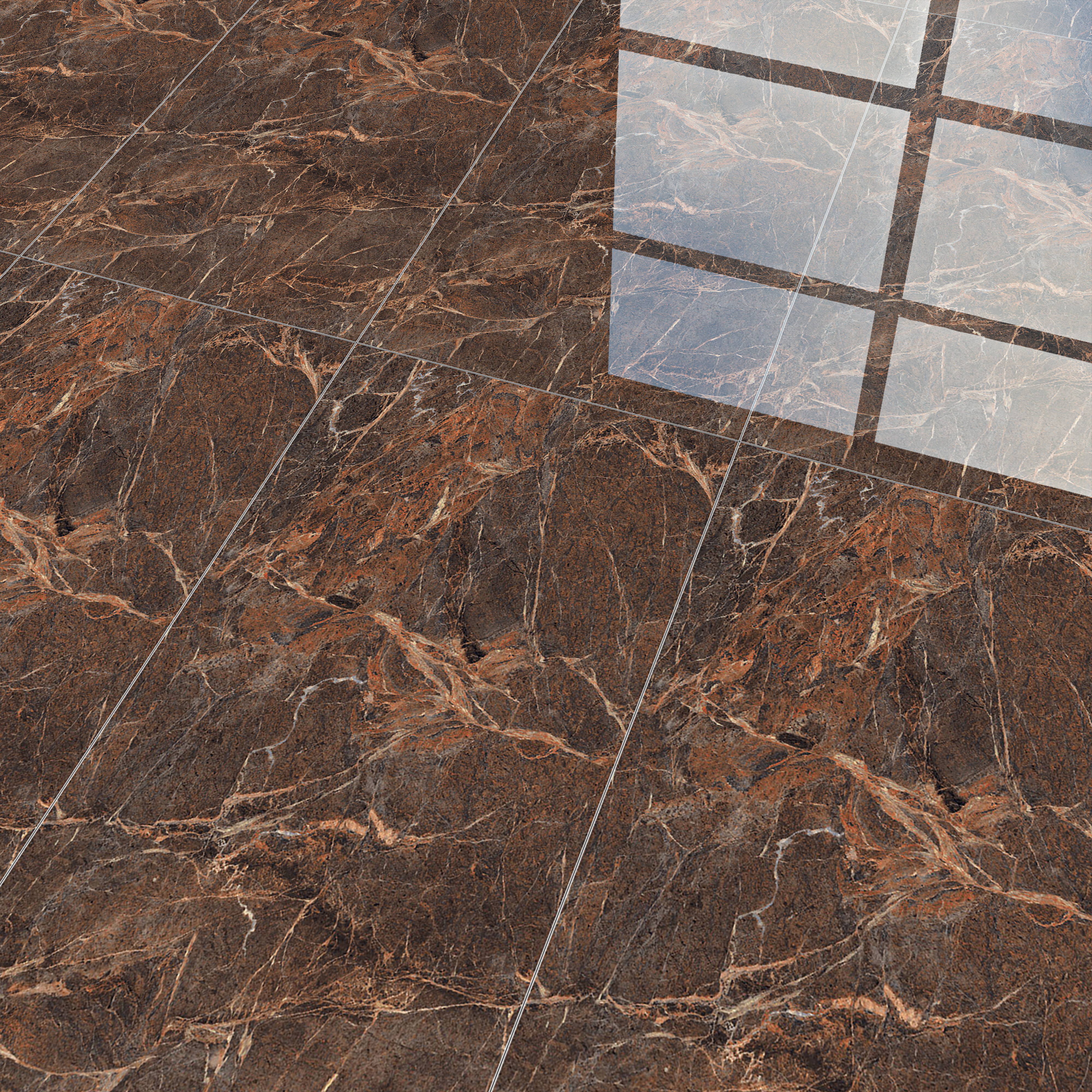 TL 01016 Spider Brown 1200x600 mm High Gloss Finish Vitrified Wall & Floor Tile - 9 mm