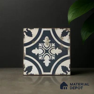 Subway Moroccan Wall & Floor Tile TL 05244 Rural Ravioli 8 x 8 inch Vitrified Matte Finish - 8 mm | 9 Random Faces | Suitable for Accent / Feature Walls, Bathroom, Kitchen Wall & Backsplashes | Please Expect a Slight Variation of Pattern
