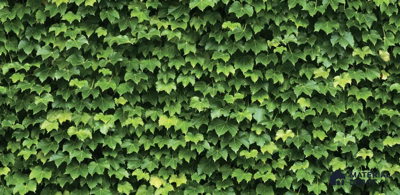 Summer_88422-1 | 5 Meter x 42 Inches Nature Look Wallpaper - 57.41 Sq. Ft. | Minimum 15% wastage during installation