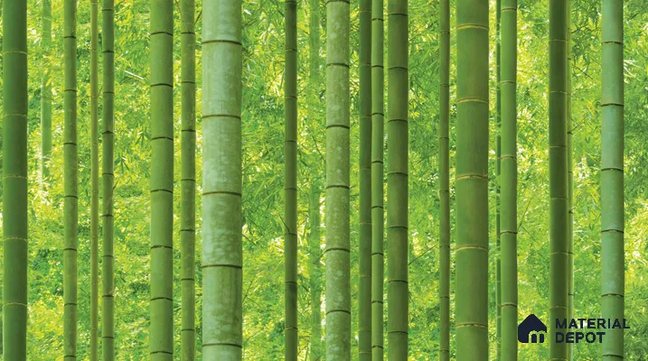 Sunshine bamboo_88423-1 | 5 Meter x 42 Inches Nature Look Wallpaper - 57.41 Sq. Ft. | Minimum 15% wastage during installation