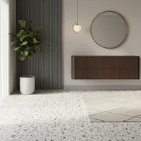 Terrazzo Tiles Under Rs. 45