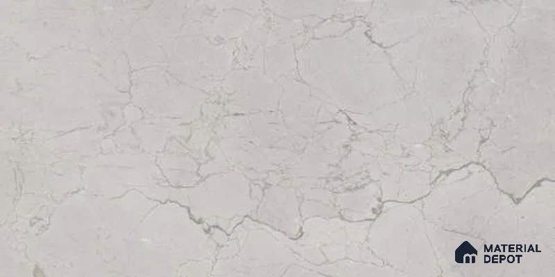 Marble Digital Wall Tile TL 12970 C Botanica Grey 2 ft x 1 ft Ceramic Glossy Finish - 9 mm | Suitable For Living Room, Dining & Bathroom Walls