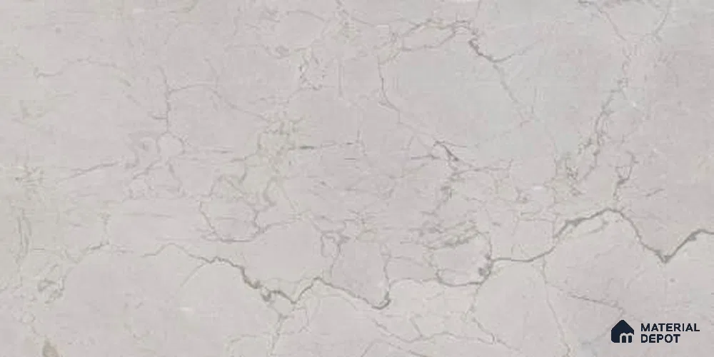 Marble Digital Wall Tile TL 12970 C Botanica Grey 2 ft x 1 ft Ceramic Glossy Finish - 9 mm | Suitable For Living Room, Dining & Bathroom Walls