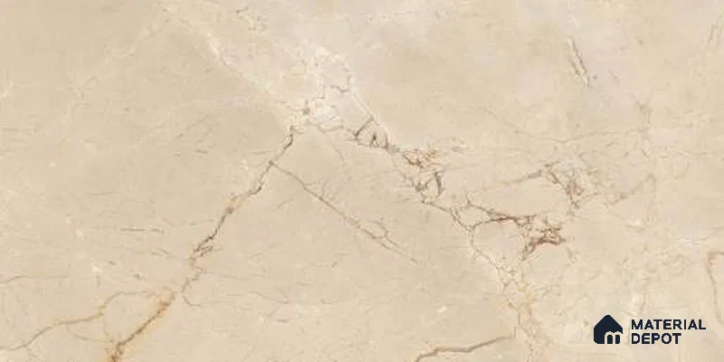 Marble Digital Wall Tile TL 12970 Botanica Beige 2 ft x 1 ft Ceramic Glossy Finish - 9 mm | Suitable For Living Room, Dining & Bathroom Walls
