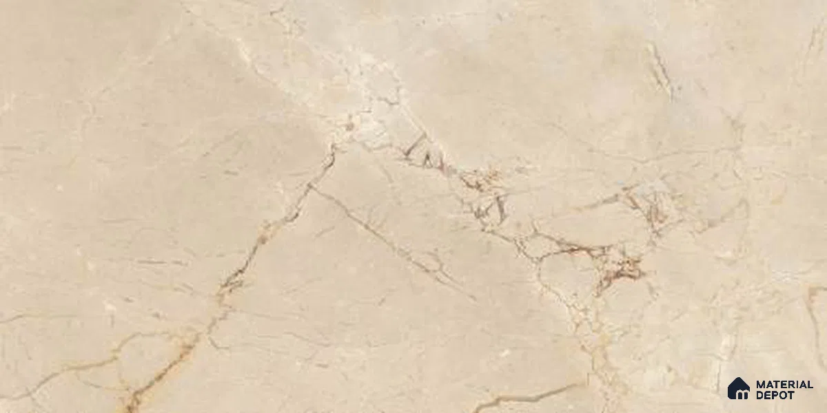 Marble Digital Wall Tile TL 12970 Botanica Beige 2 ft x 1 ft Ceramic Glossy Finish - 9 mm | Suitable For Living Room, Dining & Bathroom Walls