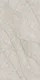 Dove Grey