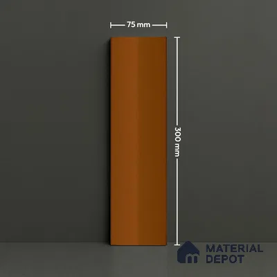 Subway Look  Tile TL 07644 C Pentagone Fox 1 ft x 2.95 inch Designer Tiles Ceramic Glossy Finish - 9 mm