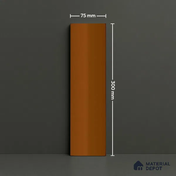 Subway Look  Tile TL 07644 C Pentagone Fox 1 ft x 2.95 inch Designer Tiles Ceramic Glossy Finish - 9 mm