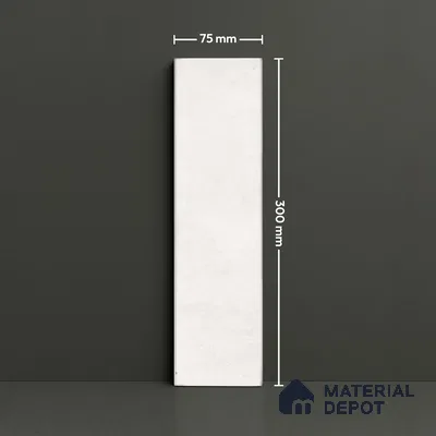 Subway Look  Tile TL 07616 E Cambry White 1 ft x 2.95 inch Designer Tiles Ceramic Glossy Finish - 9 mm (Sample)