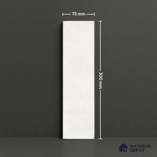 Subway Look  Tile TL 07616 E Cambry White 1 ft x 2.95 inch Designer Tiles Ceramic Glossy Finish - 9 mm (Sample)