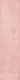 Lotus Pink