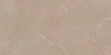 Taupe Beige