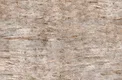 TL 03712 300x300 mm Matte Finish Anti Skid Floor Tile | Image 01