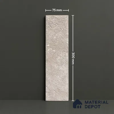 Subway Wall Tile TL 06167 Relic Gaudi 12 x 3 inch Ceramic Matte Finish - 10 mm | 32 Random Design | Suitable for Accent / Feature Walls, Bathroom, Kitchen Wall & Backsplashes