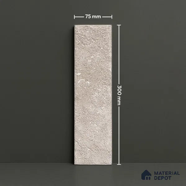 Subway Wall Tile TL 06167 Relic Gaudi 12 x 3 inch Ceramic Matte Finish - 10 mm | 32 Random Design | Suitable for Accent / Feature Walls, Bathroom, Kitchen Wall & Backsplashes