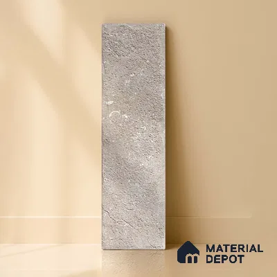 Subway Wall Tile TL 06167 Relic Gaudi 12 x 3 inch Ceramic Matte Finish - 10 mm | 32 Random Design | Suitable for Accent / Feature Walls, Bathroom, Kitchen Wall & Backsplashes