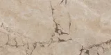 Mushroom Beige