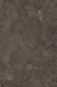 Chocolate Brown