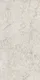 Antique Ivory