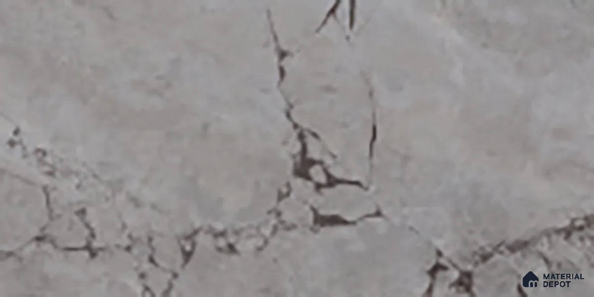 Grey Marble Wall & Floor Tile TL 07618 E Vasto Grey 2 ft x 1 ft Ceramic High Gloss Finish - 8 mm