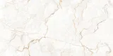 Warm White