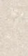 Latte Beige