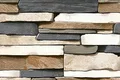 TL 05785 Touch Multi Colour 450x300 mm Glossy Finish Ceramic Wall Tile - 7 mm (Random Design)| Image 1