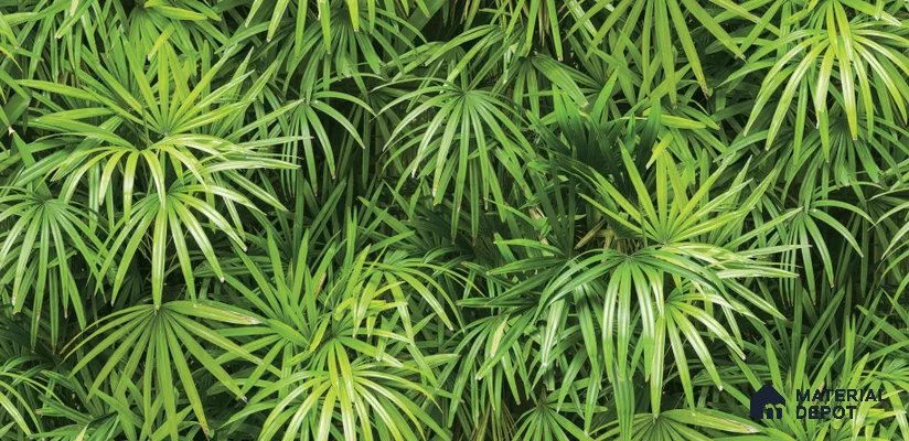 Tropical_88425-1 | 5 Meter x 42 Inches Nature Look Wallpaper - 57.41 Sq. Ft. | Minimum 15% wastage during installation