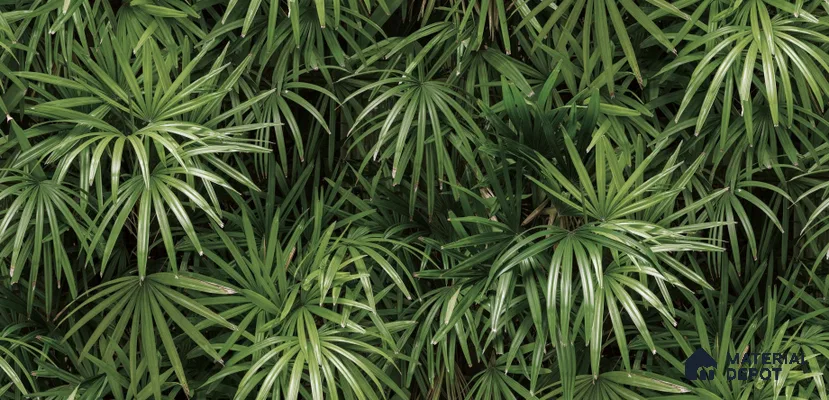 Tropical_88425-2 | 5 Meter x 42 Inches Nature Look Wallpaper - 57.41 Sq. Ft. | Minimum 15% wastage during installation