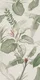 Pattern A